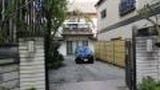 竹が植えられているのがお寺らしい雰囲気