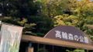 品川駅近くの森