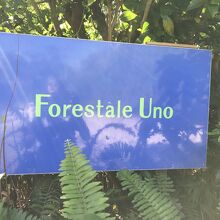 Forestale Uno