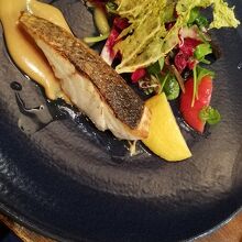 メインはヒラスズキ