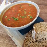 soup of the day 