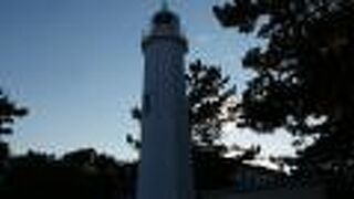 三保の松原と水族館博物館の中間地点