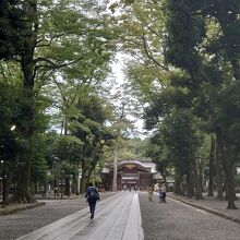 綺麗な参道