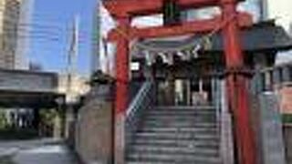 いきなり現れる!