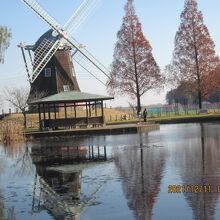 イルミネーションは中止です。