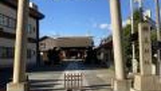 新しく整備されています