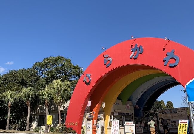 今まで行った動物園で一番動物とも近い気がした！