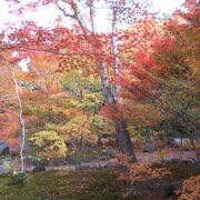 紅葉で有名な嵐山のお寺