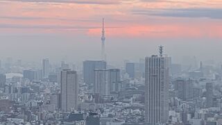 無料なのに見応え抜群！東京都庁展望室