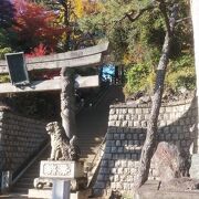 東京十社の風格ある神社で見どころたくさん