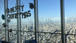 大都会を天空から見渡す