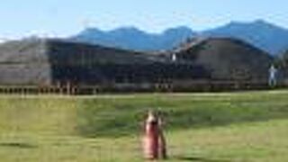 中でも八幡塚古墳は見ごたえあり！！