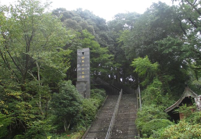 端から、登る気は起きません。