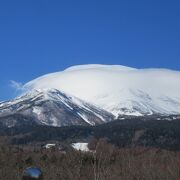 雪をまとって