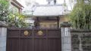 柳の葉が垂れ下がっていた