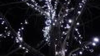 今年も始まりました