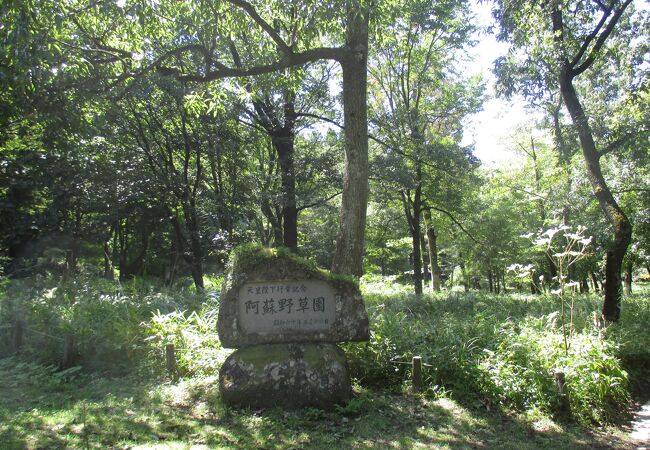 阿蘇野草園