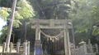 同じ様に、休み休み登っている人に親近感が湧きます。