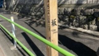 散歩しました。