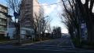 前橋駅前から広い大通りです