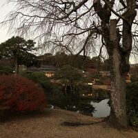 夕方の日本庭園。ぽつぽつと、別棟の数寄屋の灯が見えます。