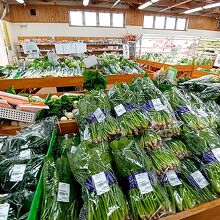 わいわい市 寒川店