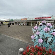 道の駅ごか　※手前のあじさいは造花