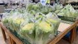 新鮮な野菜がいっぱいありました！