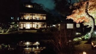 紅葉時期ライトアップ