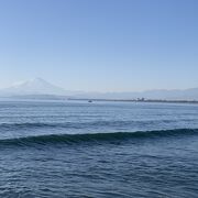 水族館がわ