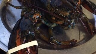 レッドロブスター ユニバーサル・シティウォーク大阪店