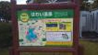 公共のアクセスが悪く飲食店が少ない