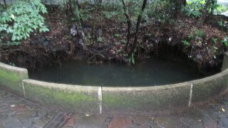 水が溜まっていて良かった！