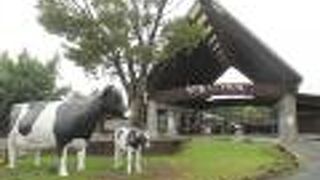 子供連れには楽しそうです。