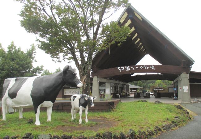 子供連れには楽しそうです。