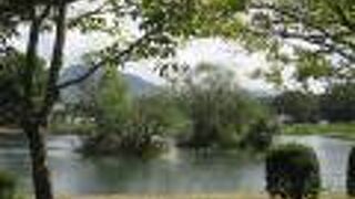 本当の浮島がたくさん見られます。