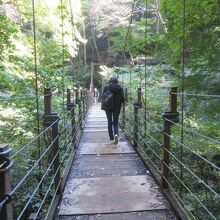 みやま橋を歩きました