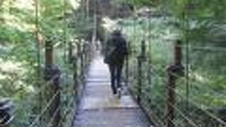 高尾山4号路にある吊橋