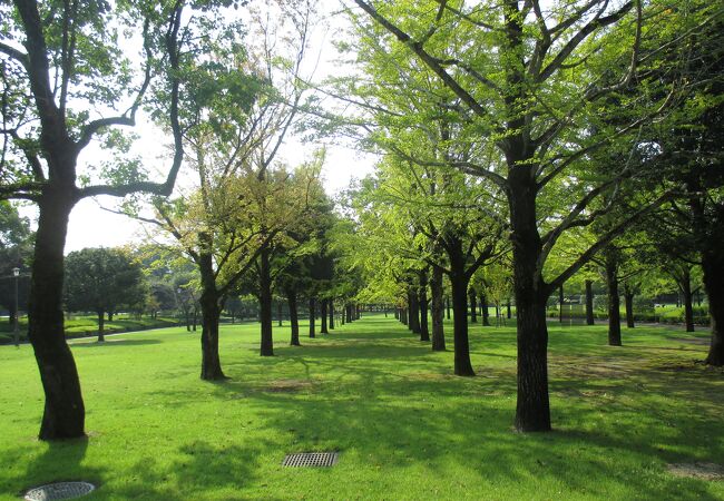 樹木の多い公園でした。