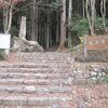 今年後期高齢者に指定された私共にとっては、非常にしんどかったです