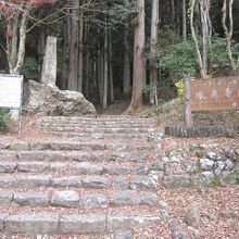 ここから鳳来寺本堂まで１，４２５段の石段が続きます