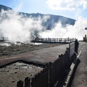 初めてなら見るのもよい　地球の鼓動がわかる