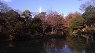 多くの人の憩いの場となっていました