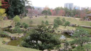 紅葉が綺麗でした