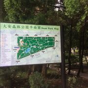 大安森林公園