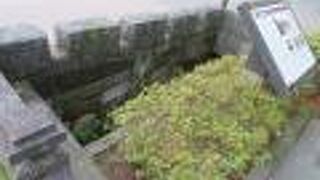 ここから水路が生まれました