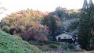 とにかく広いです