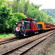 いつか実際に列車にも乗ってみたいが、JR保津峡駅のホームからトロッコ列車を眺めるのもなかなか良かったです。