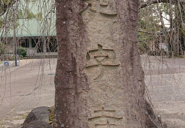 鳥のさえずりが印象的