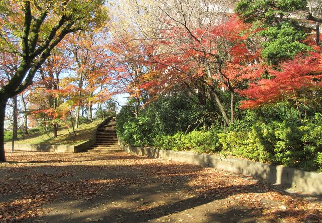 高層マンション裏に造られた貴重な公園です